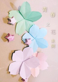 青春之花是什么意思