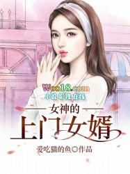 女神的上门女婿免费全文阅读完整版