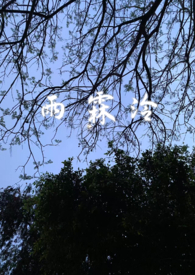 雨霖泠sc,强制爱,前世今生