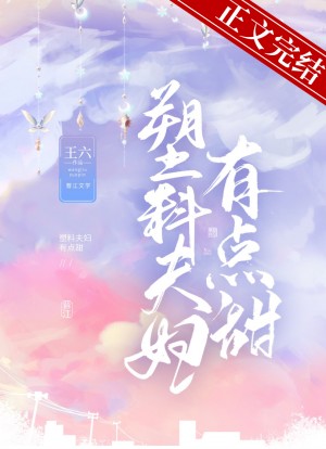 塑料夫妇有点甜作者:王六