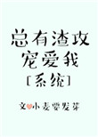 总有渣攻宠爱我[系统