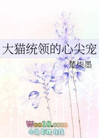 捡到温柔美人gl[古穿今