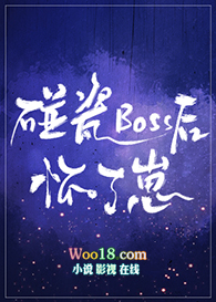 碰瓷BOSS后怀了崽小说免费阅读