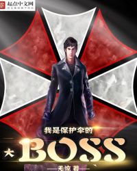 我是保护伞大boss 小说