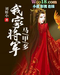 我家将军夫人狠又飒 小说