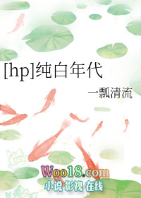 hp纯白年代