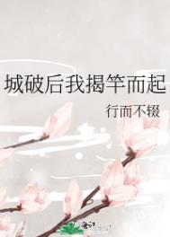 城破后我揭竿而起讲什么