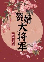 赘婿中的将军