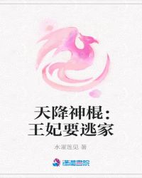 天降的王妃 小说