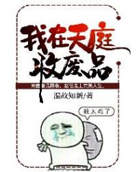 我在天庭收废品漫画完整版