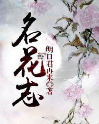 名花志小说下载