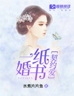 契约婚书小说