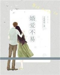 婚爱不易 小说