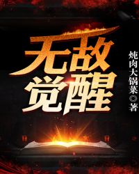 无敌觉醒小说