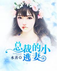 总裁的逃婚小妻免费阅读全文