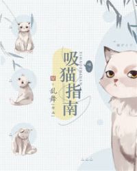 新手选猫指南