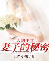 人到中年妻子的秘密女主人公王悦