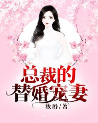 总裁的替婚宠妻小说