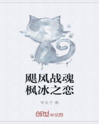 飓风战魂枫冰文后续