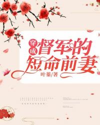 穿成督军的短命前妻作者:叶蓁