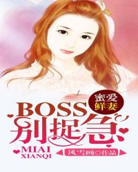 蜜爱鲜妻BOSS 别捉急