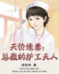 天价总裁追逃妻全文阅读