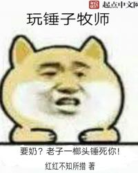 穿板甲拿锤子的牧师