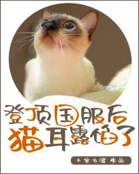 登顶国服后猫耳露馅了