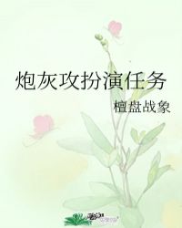 炮灰攻扮演任务无防盗