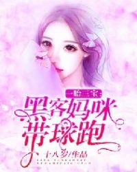 小说一胎三宝把妈咪抢回来