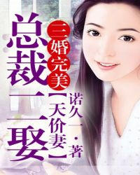 三婚完美总裁二娶天价前妻小说