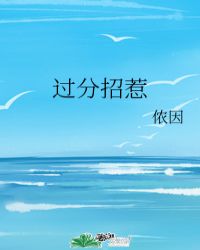 《过分招惹》作者:侬因