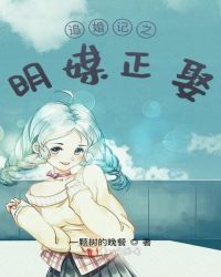 追婚记第24集视频