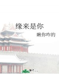 缘来是你安挽心林寒笙