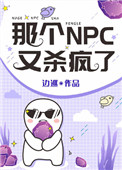 那个NPC又杀疯了类似