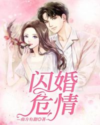 小说闪婚