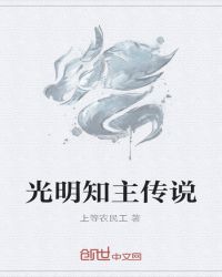 光明知主传说 小说