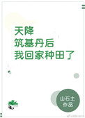 天降筑基丹后我回家种田了 山石土256