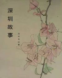 深圳故事作文800字