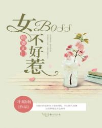 追妻无度boss大人温柔点