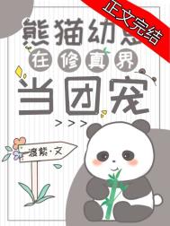 熊猫幼崽在修真界当团宠 结局