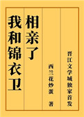 我和锦衣卫相亲了格格党