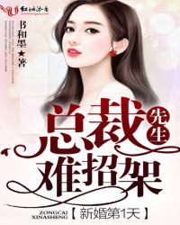 新婚第1天,总裁先生难招架