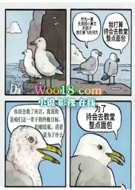 西幻去教堂整点面包小说免费