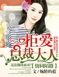 婚同陌路拒爱总裁大人