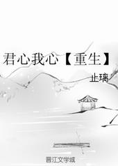 君心我心橙光游戏破解版