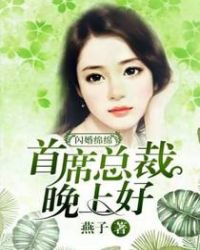 闪婚总裁太神秘