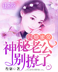 闪婚神秘老公宠不停