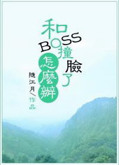 和boss隐婚后小说全文免费阅读