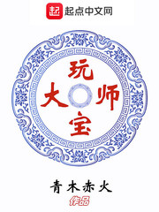 玩宝大师全文免费阅读